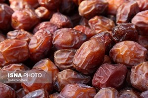 رئیس انجمن ملی خرما: ۳۰ درصد از خرمای ایران صادر می‌شود/موافق افزایش واحد سطح نیستیم