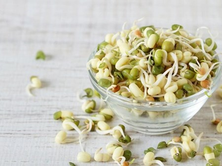 جوانه ماش؛ بمب ویتامین و پروتئین