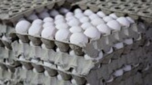 قیمت مصوب جدید تخم مرغ به زودی اعلام می‌شود