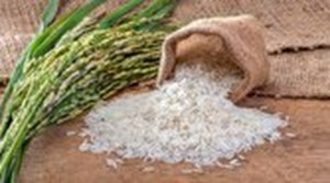 دریافت شناسه کالا برای ثبت سفارش برنج ضروری است