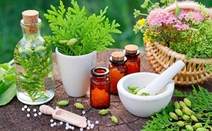 داروهای گیاهی را از عطاری نخرید