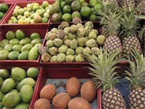 دیرکل دفتر امور میوههای گرمسیری و نیمه گرمسیری عنوان کرد: چه محصولات گرمسیری به ایران وارد میشود؟ /خودکفایی در صورت تامین اعتبار