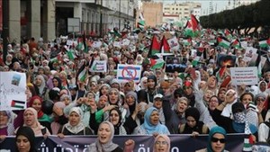 برگزاری ۱۰۵ تظاهرات در ۵۸ شهر مغرب در حمایت از غزه