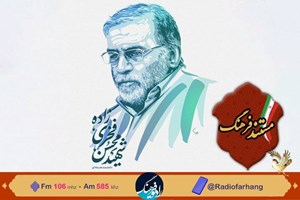 مستندی درباره نحوه شهادت شهید محسن فخری زاده