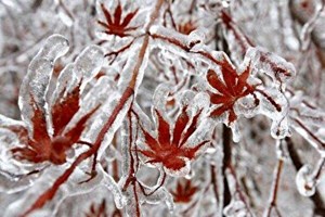 پیش بینی کاهش محسوس دما و یخ زدگی سطح زمین در خوزستان