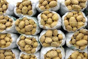 بازار سیبزمینی هفته آینده متعادل میشود