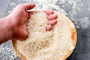 گرانی برنج زیر ذرهبین نهادهای قضایی؛ برخورد با تخلفات بازار کالا