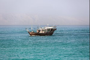 در رزمایش اقتدار نیروی دریای سپاه انجام شد؛ به کارگیری پرندهها و شناورهای بدون سرنشین مجهز به هوش مصنوعی