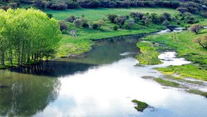 احتمال نابودی ۲۰ درصد از تالابهای جهان تا نیمه قرن