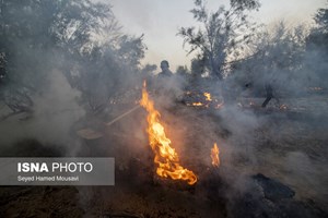 سرپرست اداره حفاظت محیط زیست اندیکا خبر داد: مهار آتش‌ در ارتفاعات شیمبار/ وقوع ۸ آتش سوزی از ابتدای امسال