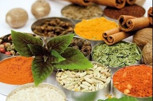 مدیرکل دفتر طب ایرانی و مکمل وزارت بهداشت: معاینه متخصصان طب سنتی و ۵۹ قلم داروی گیاهی تحت پوشش بیمه قرار دارد