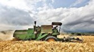 ۱۰ استان رکورددار خرید تضمینی گندم شدند