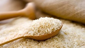 ماجرای نوسان بازار برنج چیست؟
