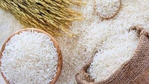 شیب کاهش قیمت برنج تندتر می‌شود