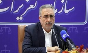اسفنانی: تعزیرات با نانواییهای متخلف برخورد میکند