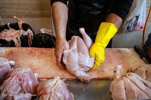 قیمت مصوب مرغ برای مصرف کننده ۱۰۵ هزارتومان