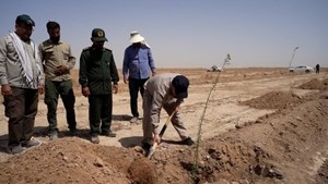 اجرای پروژه بیابانزدایی ۳ هزار هکتاری در کانون شماره ۴ ریزگردهای خوزستان