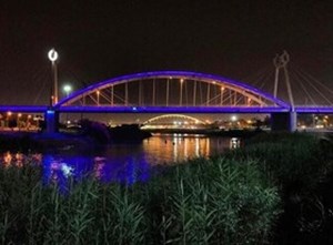 توسعه پارک جزیره اهواز؛ نابودی یا احیای کارون؟