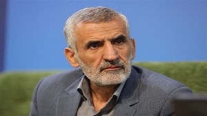 رئیس ستاد مرکزی اربعین مطرح کرد؛ استفاده از ظرفیت تاکسیهای اینترنتی برای راهپیمایی اربعین