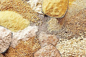 ماجرای کمبود و گرانی نهادههای دامی در بازار چیست؟