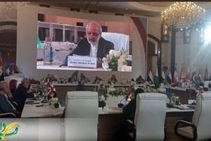ایران میزبان بیش از ۵ میلیون مهاجر و پناهنده / تاثیر منفی تحریمها بر حقوق بشر