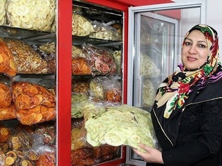 معاون اشتغال وزیر کار تشریح کرد: شرط دریافت وام ۴ میلیارد تومانی مشاغل خانگی