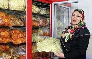 معاون اشتغال وزیر کار تشریح کرد: شرط دریافت وام ۴ میلیارد تومانی مشاغل خانگی