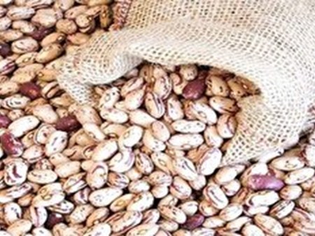 قیمت لوبیا چیتی به ۳۲۰ هزارتومان رسید