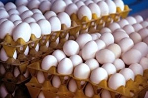 قیمت هرشانه تخم مرغ در میادین به ۸۵ هزارتومان رسید