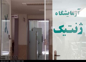 اقدامات وزارت بهداشت برای مقابله با پشه آئدس/ لزوم همکاری موثر سازمانهای دیگر