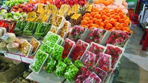 قیمت میوههای نوبرانه ۳۰ درصد ارزان شد
