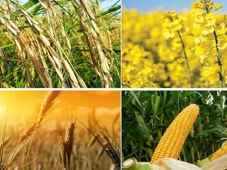 با گذشت ۲۰ روز از مهلت قانونی خبری از اعلام نرخ نیست