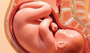 نظارت بر مراکز درمانی به ویژه مطبهای مامایی برای جلوگیری از سقط جنین
