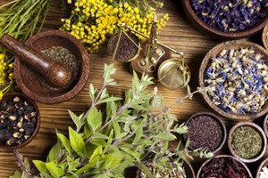 درمان بیماریهای دهان با استفاده از طبیعت/ داروهای گیاهی برای بهبود بیماریهای دهان