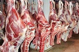 در بازار گوشت چه می‌گذرد؟ /پیمان پاک: واردات تا ثبات بازار ادامه دارد