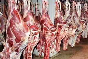 در بازار گوشت چه میگذرد؟ /پیمان پاک: واردات تا ثبات بازار ادامه دارد