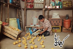«کیهان بچهها» آماده نمایش شد