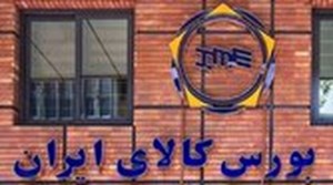 شرکتهای دولتی و وابسته به نهادهای عمومی باید صورتهای مالی خود را در کدال منتشر کنند
