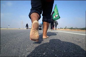 تور عکاسی از پیادهروی اربعین برگزار میشود