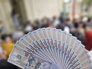 فریب جوانان جویای کار با وعده شغلهای دروغین در تهران/ پشت پرده شبکههای هرمی چگونه است؟