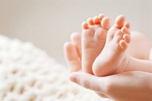 تغذیه معجزهآسای باروری از دیدگاه ابنسینا