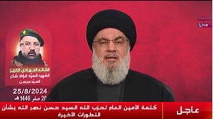 سیدنصرالله:پایگاههای اطلاعاتی اسرائیل را هدف قرار دادیم/دشمن بهرغم آمادهباش ناکام ماند