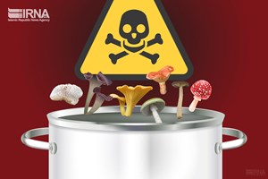 خطر قارچ‌های خود رو در فصل بهار؛ مراقب «کلاهک‌های مرگ» باشید