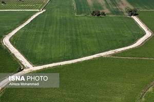 برنامه اجرای فاز دوم طرح ۵۵۰ هزار هکتاری و زراعت چوب خوزستان در سال زراعی جدید